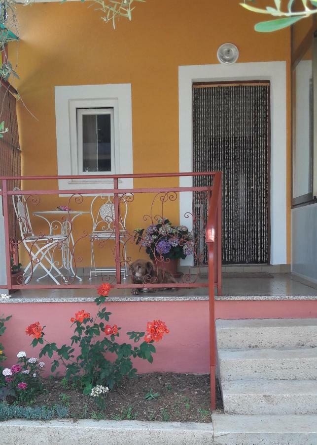 Apartment Dea Crveni Vrh